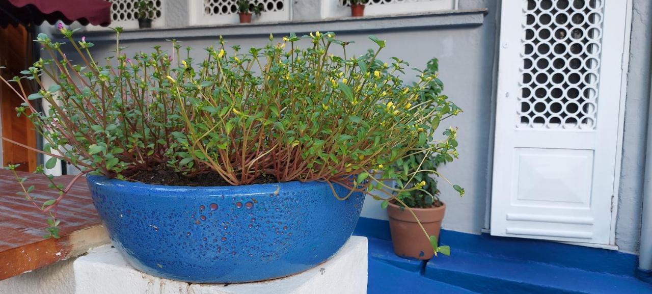 Hostel Leblon Rio de Janeiro Zewnętrze zdjęcie
